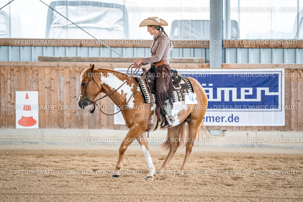 DSC09070 | Pferdegrafie