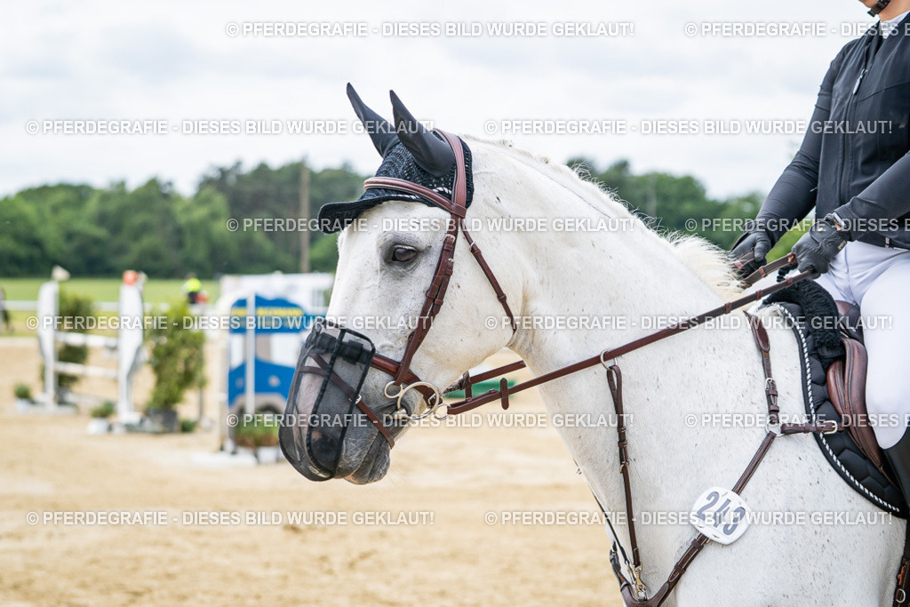 DSC05006 | Pferdegrafie