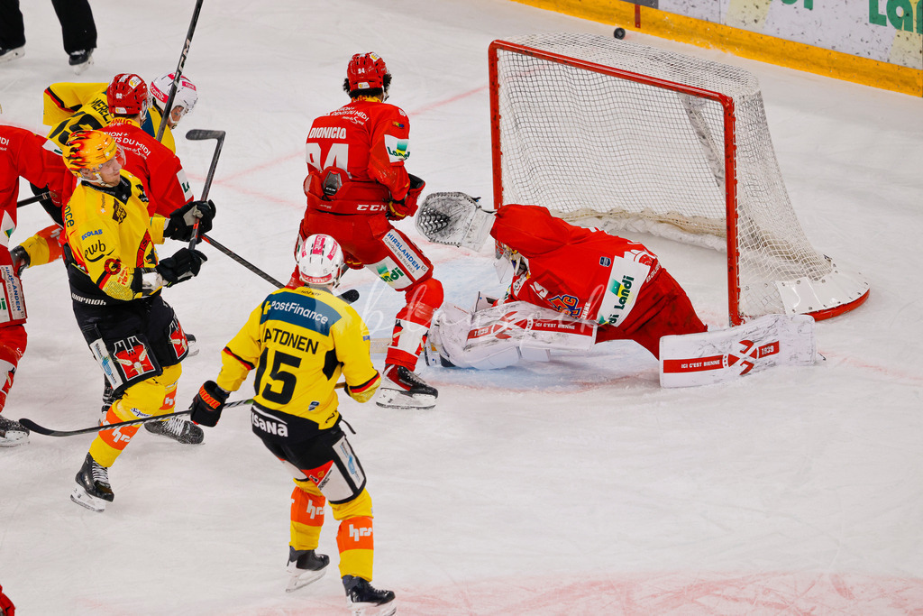 EHCB vs SCB 20260110_wb-3094 | Sportbilder, Sportfotograf, Hochzeits- und Eventfotografin, Flugshows, Portraits und Tiershooting, Aviation, Downhill, Nationalleague, Swissleague, International