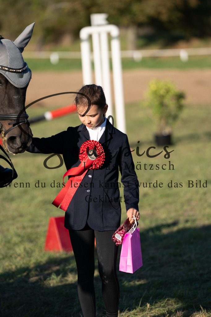 A7V04748 | Pferdefotograf