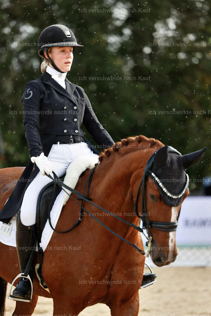 10-061-ST.GEORG SPECIAL -StoibPH-3146 | working equitationturnier fotograf videograf stoibphotography marixx film working equitation deutschland reitsport turnierfotografie eventfotografie equestrian events