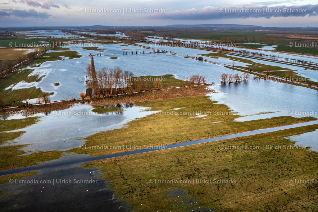 10049-51817 - Hochwasser im Großen Bruch | Stockfoto und Bilderpool mit Bildmaterial aus Deutschland, dem Harz, Halberstadt, Quedlinburg, Wernigerode und weltweit. Qualitativ hochwertige und professionelle Fotos anschauen und kaufen. - Realisiert mit Pictrs.com
