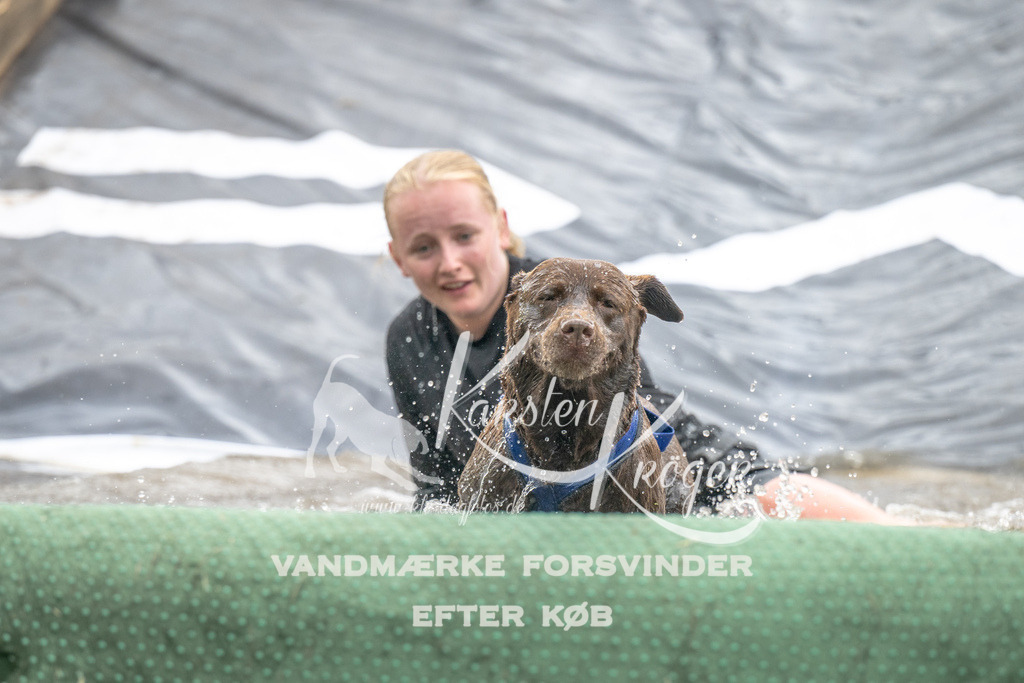 1406_ZZ94306 | kk-dogfotos