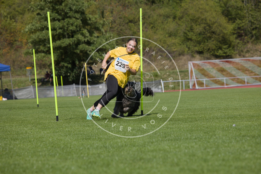0L8A7237 | Hundefotografie, Tierfotograf, Pfotenfotografie, Fotoshooting Hund, Hunde Portrait, Hundesport, Hundeportraits, Heideshooting, Hunde, Sportfotograf, Hundefotograf, Turnierhundsport, THS,  - Realisiert mit Pictrs.com