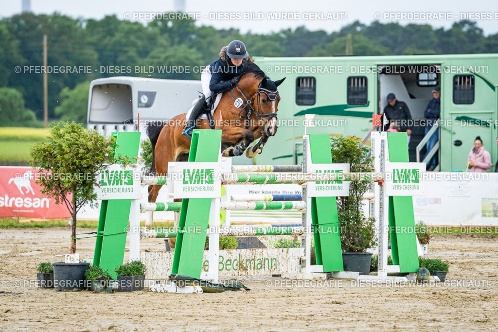 DSC03572 | Pferdegrafie