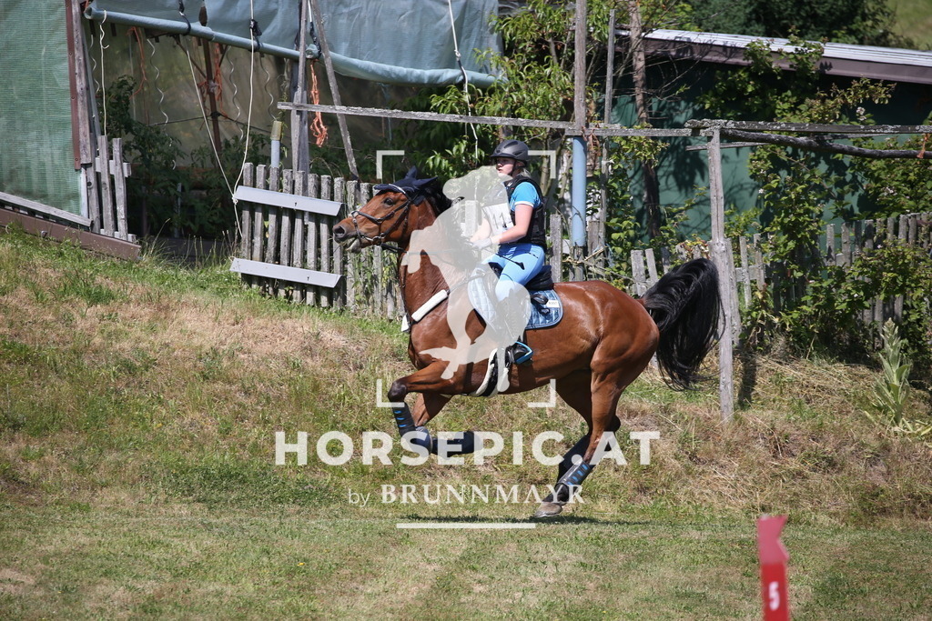 DL2Q1659 | Willkommen bei Brunnmayr - Design & Fotografie – Ihrem Spezialisten für Reitturniere und Pferdeveranstaltungen in Oberösterreich, Salzburg und Bayern! Seit über 17 Jahren sind wir leidenschaftlich dabei.