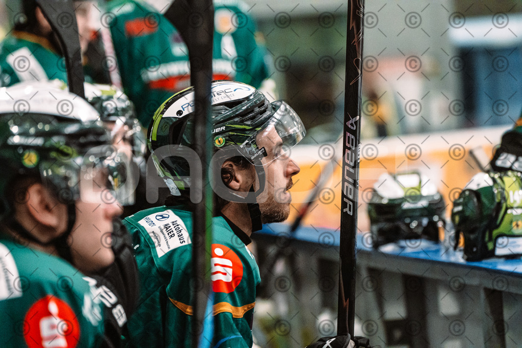 Alligators_vs_Peiting_04_10_2026-06 | Die Fotogalerie von Daddel: professionelle Bilder von Sport, Events und Unternehmen aus Franken. Jetzt Galerien durchstöbern und Lieblingsfotos bestellen. - Realisiert mit Pictrs.com