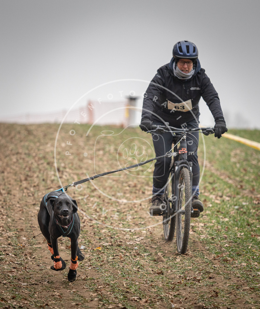 Pfotenfotografie_DV3A2724 | Hundefotografie, Tierfotograf, Pfotenfotografie, Fotoshooting Hund, Hunde Portrait, Hundesport, Hundeportraits, Heideshooting, Hunde, Sportfotograf, Hundefotograf, Turnierhundsport, THS,  - Realisiert mit Pictrs.com