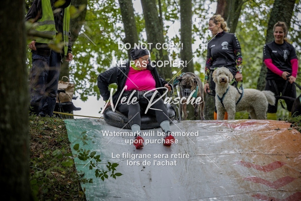 nelerasche_Hunsrück_Sa1000-1030_204-final | nelerasche