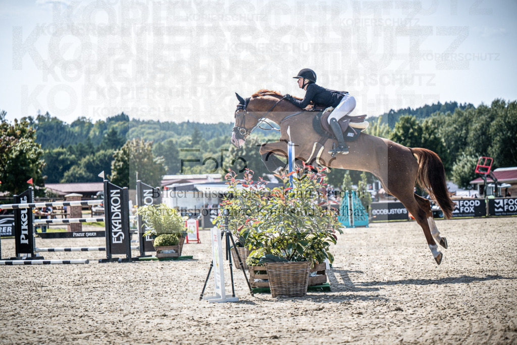 DOS_7188 | Entdecke hochwertige Reitturnierfotos von Foto Oger. Professionell, emotional und authentisch – jetzt Lieblingsmomente im Shop bestellen.Deutschlandweite Turnierfotografie. - Realisiert mit Pictrs.com