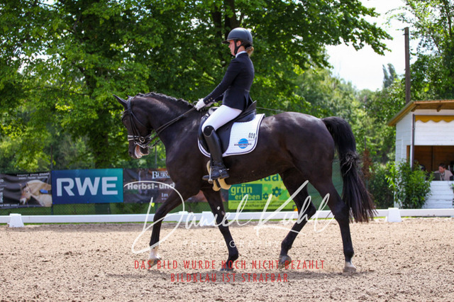 DKP40977 | Turnierfotos kaufen im Webshop von Daniel Kuhl Photography – entdecke professionelle Reitsportfotos aus Turnieren & Events. Hochwertige Turnierbilder online bestellen & sichern. Jetzt Fotos von Reitsportturnieren kaufen!