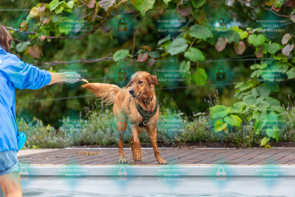 _HP_6203_1000o | HetPix, HetPix Fotodesign, Fotografie, Fotodesign, Webshop, Sportfotografie, Portraitfotografie, Onlineshop, Sportfotografie, Polch, Motorsportfotografie, Eventfotografie