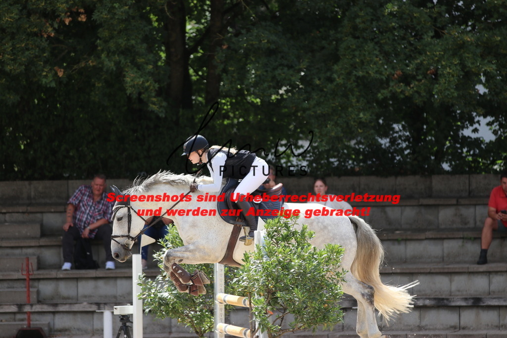 IMG_0342 | lmwpictures - Realisiert mit Pictrs.com