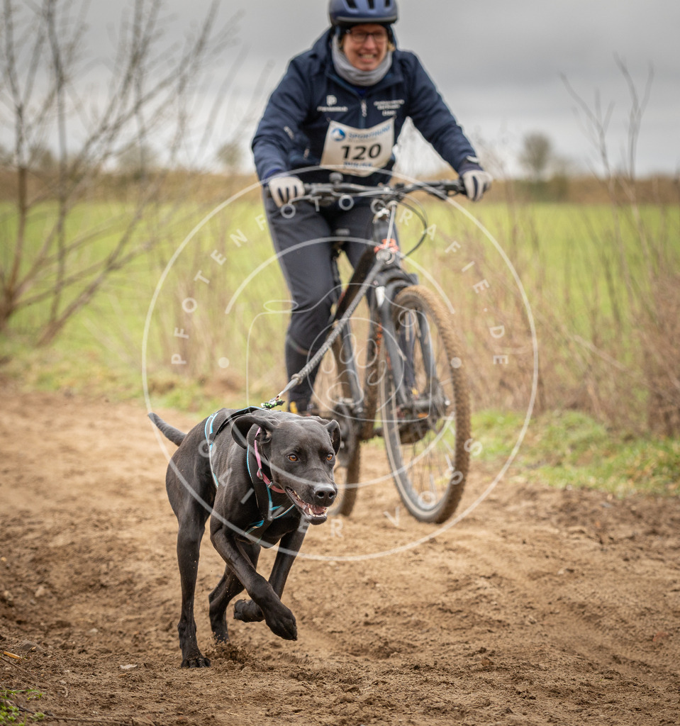 DV3A0930 | Hundefotografie, Tierfotograf, Pfotenfotografie, Fotoshooting Hund, Hunde Portrait, Hundesport, Hundeportraits, Heideshooting, Hunde, Sportfotograf, Hundefotograf, Turnierhundsport, THS,  - Realisiert mit Pictrs.com