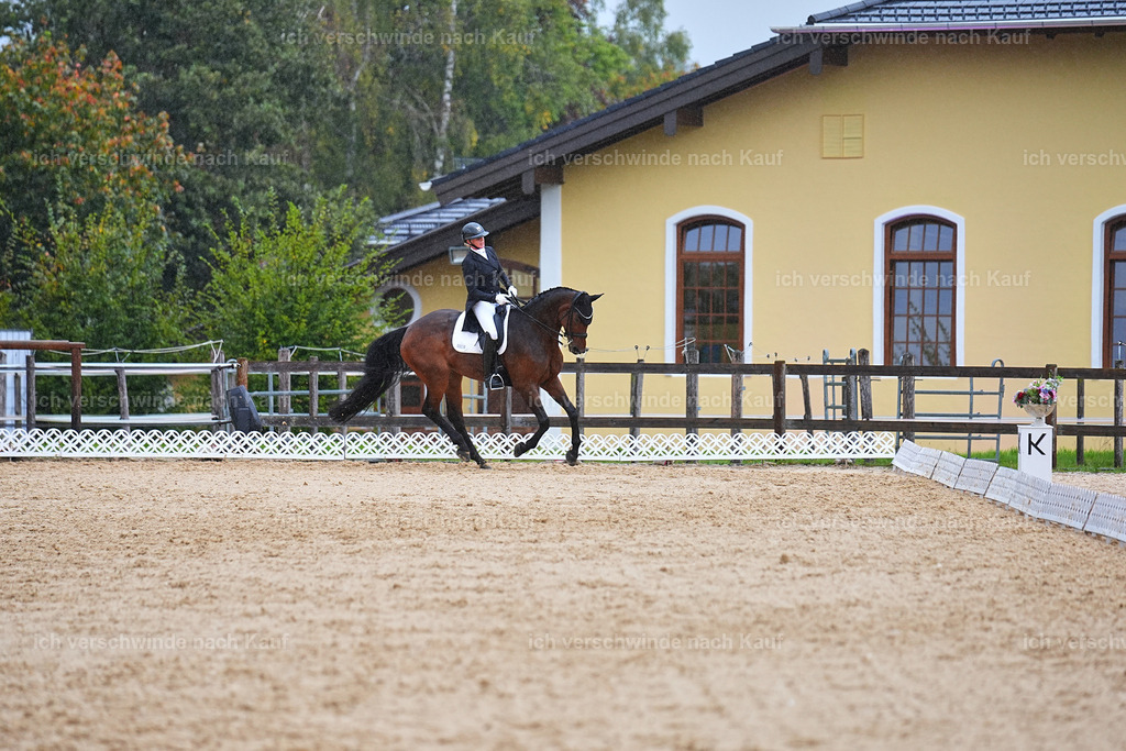 8_1-020-Klasse S_  -Marixx-4370 | working equitationturnier fotograf videograf stoibphotography marixx film working equitation deutschland reitsport turnierfotografie eventfotografie equestrian events