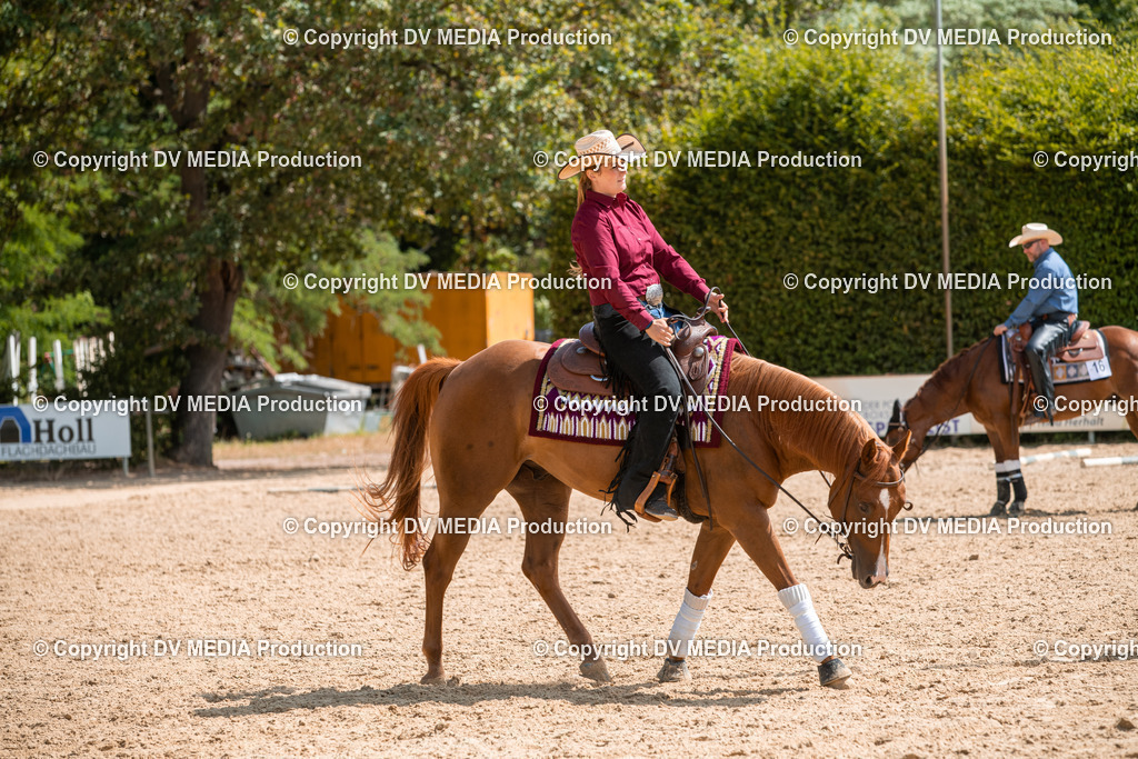 ZS3_9543 | dv-media-shop - Realisiert mit Pictrs.com