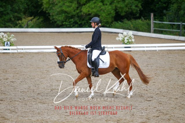 DKP47039 | Turniersportfotografie; Pferdefotografie; Dressurfotografie