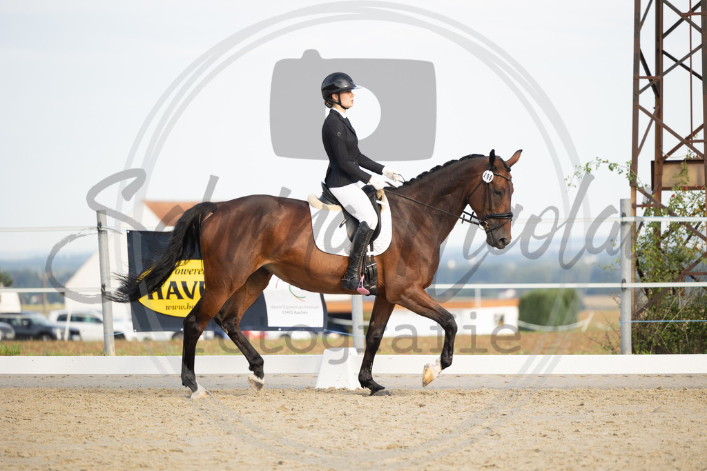 994A0472 | sabrinanicolaifotografie - Realisiert mit Pictrs.com