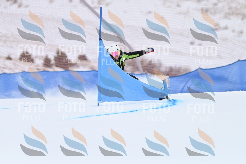 BGV_3434 | holidayphoto