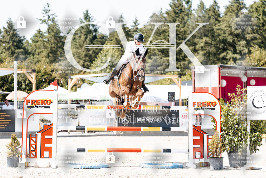 CK904981 | Turnierfotografie Pferdefotografie Trier Rheinland-Pfalz Pferdesport Reitsport Tierfotografie Sportfotografie Pferdevideo Pferdevideografie Equestrianvideography equestrianphotography  - Realisiert mit Pictrs.com