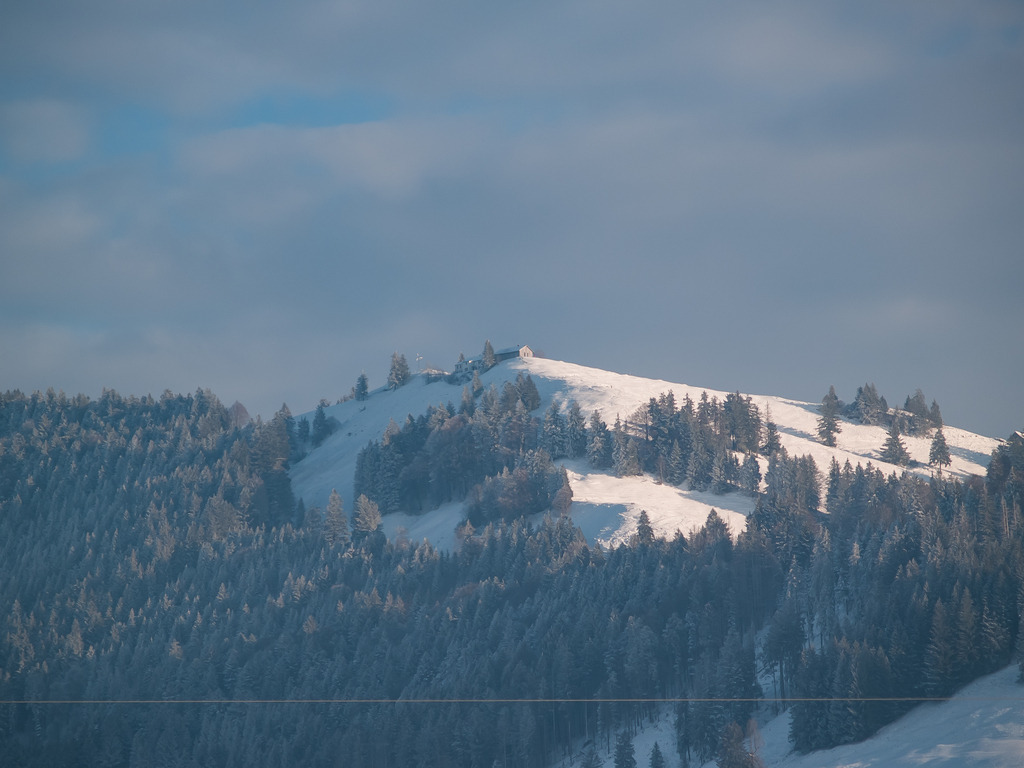 PSX_20230124_232439 | OLYMPUS DIGITAL CAMERA - Realisiert mit Pictrs.com