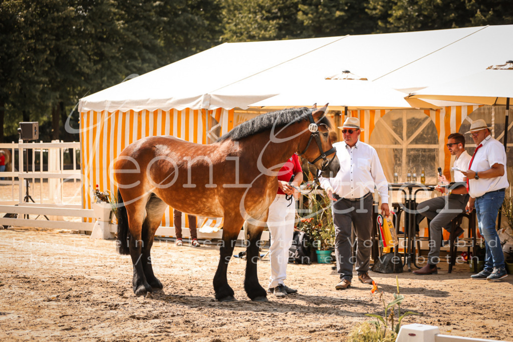 1.Sa00046 | Leoni Ertmer Photography - Realisiert mit Pictrs.com