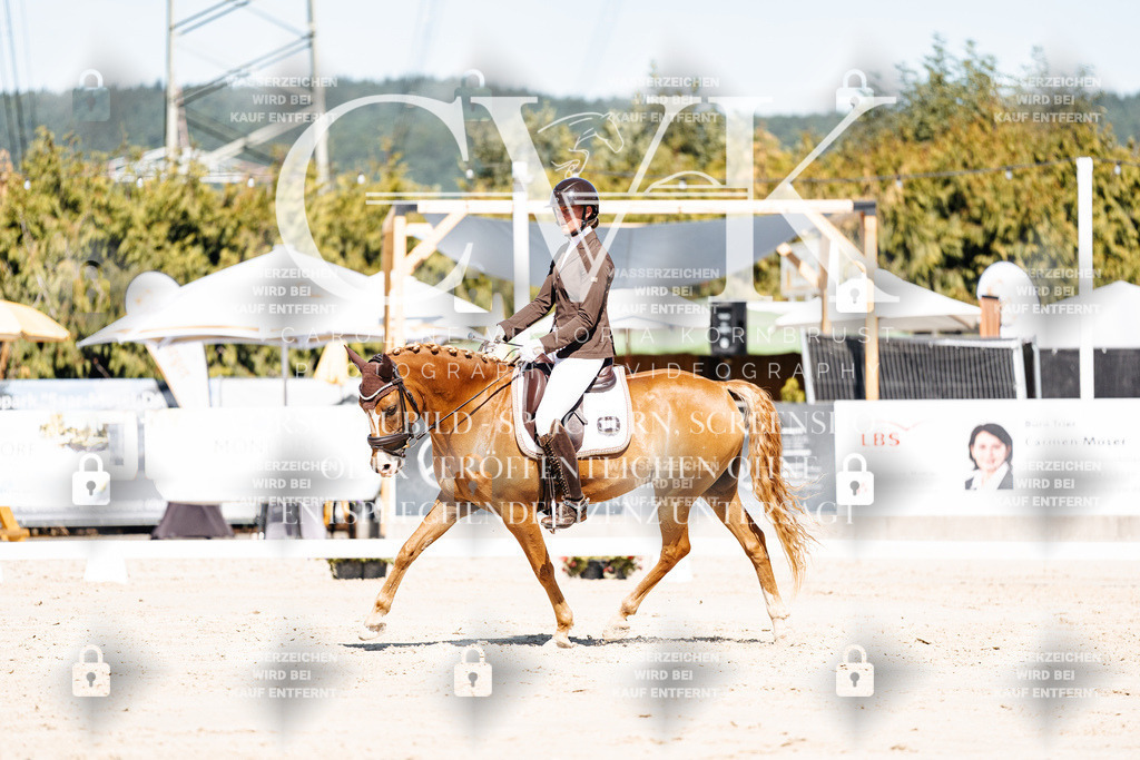 CK909095 | Turnierfotografie Pferdefotografie Trier Rheinland-Pfalz Pferdesport Reitsport Tierfotografie Sportfotografie Pferdevideo Pferdevideografie Equestrianvideography equestrianphotography  - Realisiert mit Pictrs.com