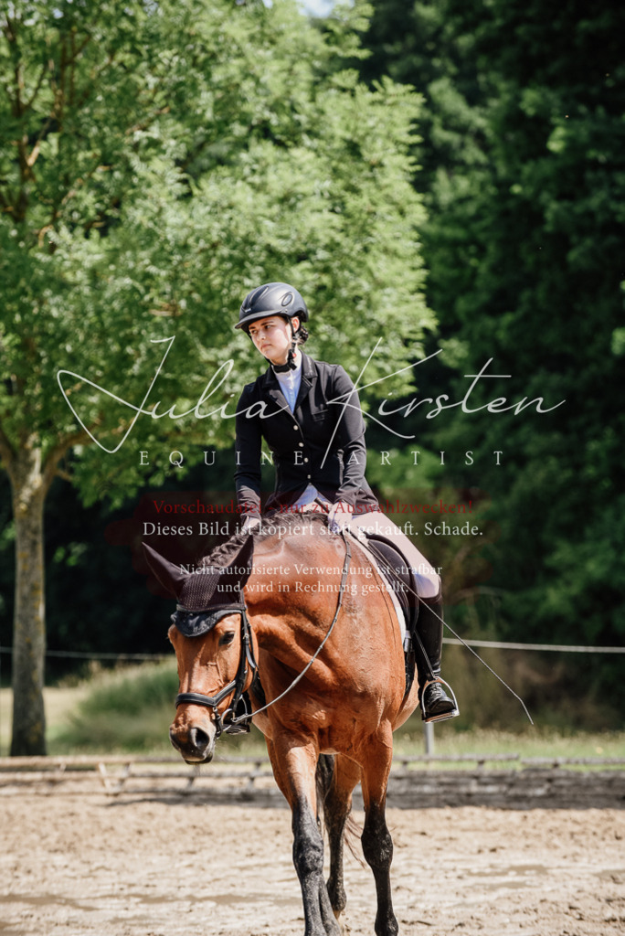 DSC_1031 | Pferde- und Turnierfotografie in Westsachsen. Pferdeportraits, Auftragszeichnungen und intuitive Kunst.