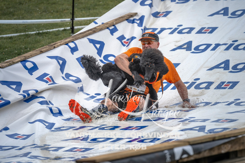 1504_ZZ93380 | kk-dogfotos
