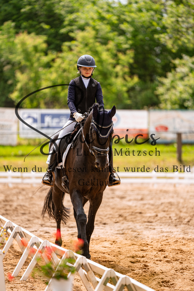 A7505906 | Turnier/Reitfotograf