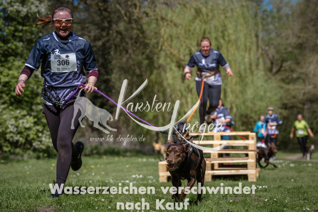 1226_ZZ91731 | kk-dogfotos