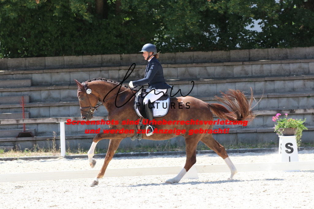 IMG_4950 | lmwpictures - Realisiert mit Pictrs.com