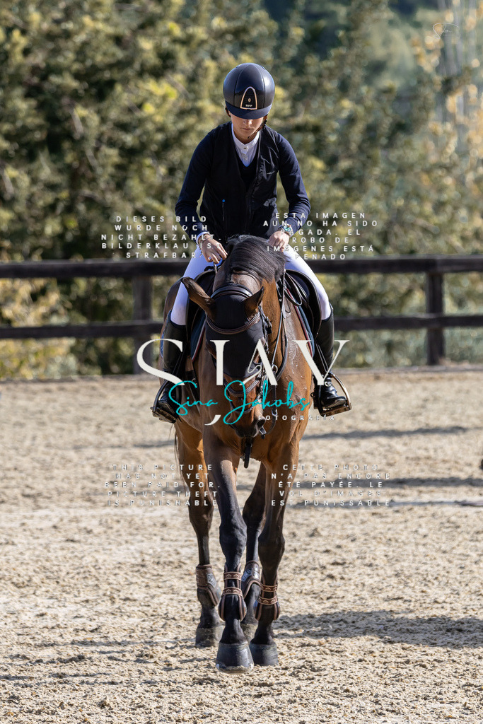 IMG_0608 | s-jay-photography - Realisiert mit Pictrs.com