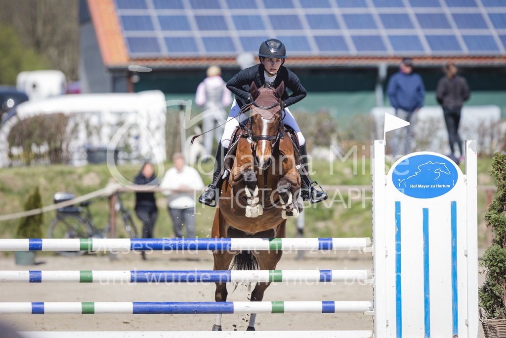 220416_3_A-Springen2-433 | Frühlingsfest der Pferde
Herford
16.April 2022
03/2 Sprigprüfung mit steigenden Anforderungen Kl. A** geschlossen 44-481 RLP