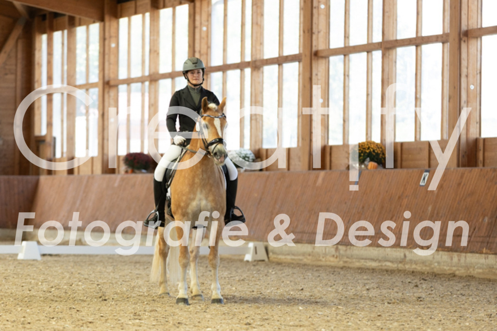 IMG_5281 | Creatify Fotografie