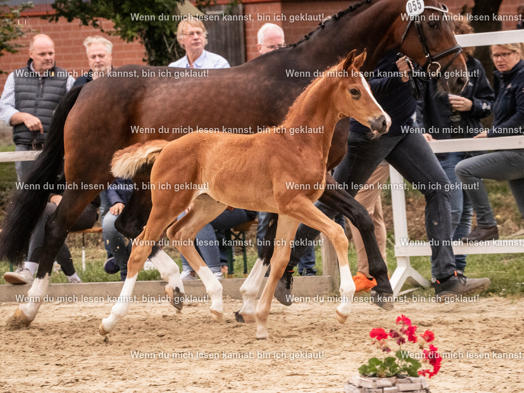 A10I5524 | photographylinaismer - Realisiert mit Pictrs.com