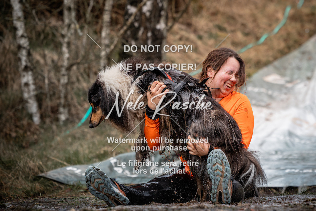 nelerasche_1330-1400_19 | nelerasche