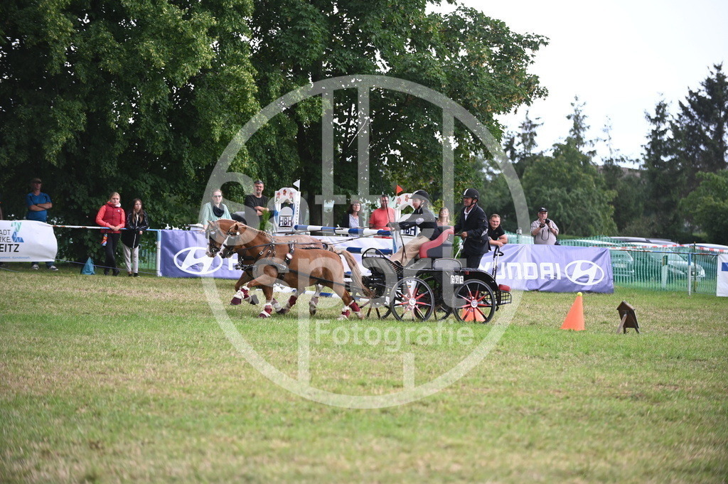 DSC_8671 | sattelsport - Realisiert mit Pictrs.com