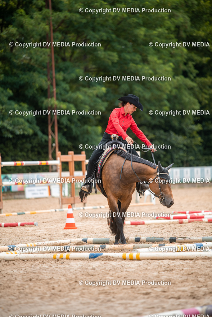 ZS2_7994 | dv-media-shop - Realisiert mit Pictrs.com