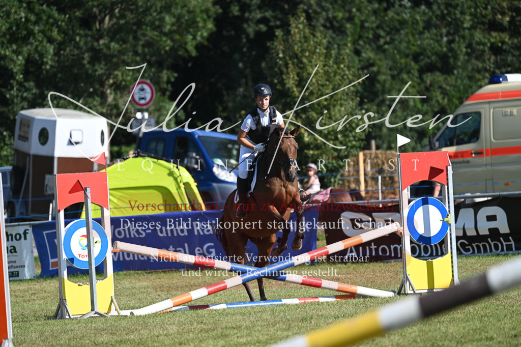 DSC_5302 | Pferde- und Turnierfotografie in Westsachsen. Pferdeportraits, Auftragszeichnungen und intuitive Kunst.