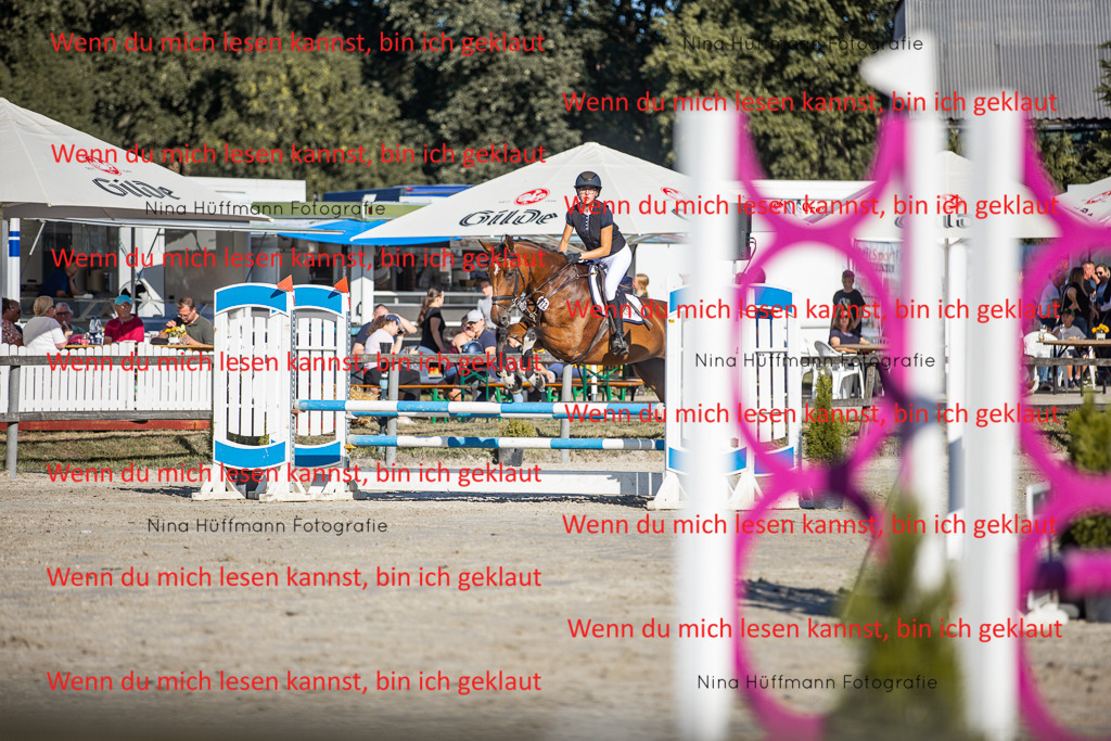 BK1A7606 | Turnierbilder Turnierfotos Nina Hüffmann Turnierfotografie Pferdefotografie Tierzeichnung Haustierzeichnung Pferdezeichnung Hundezeichnung Videograf  - Realisiert mit Pictrs.com