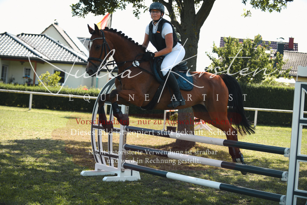 DSC_6939 | Pferde- und Turnierfotografie in Westsachsen. Pferdeportraits, Auftragszeichnungen und intuitive Kunst.
