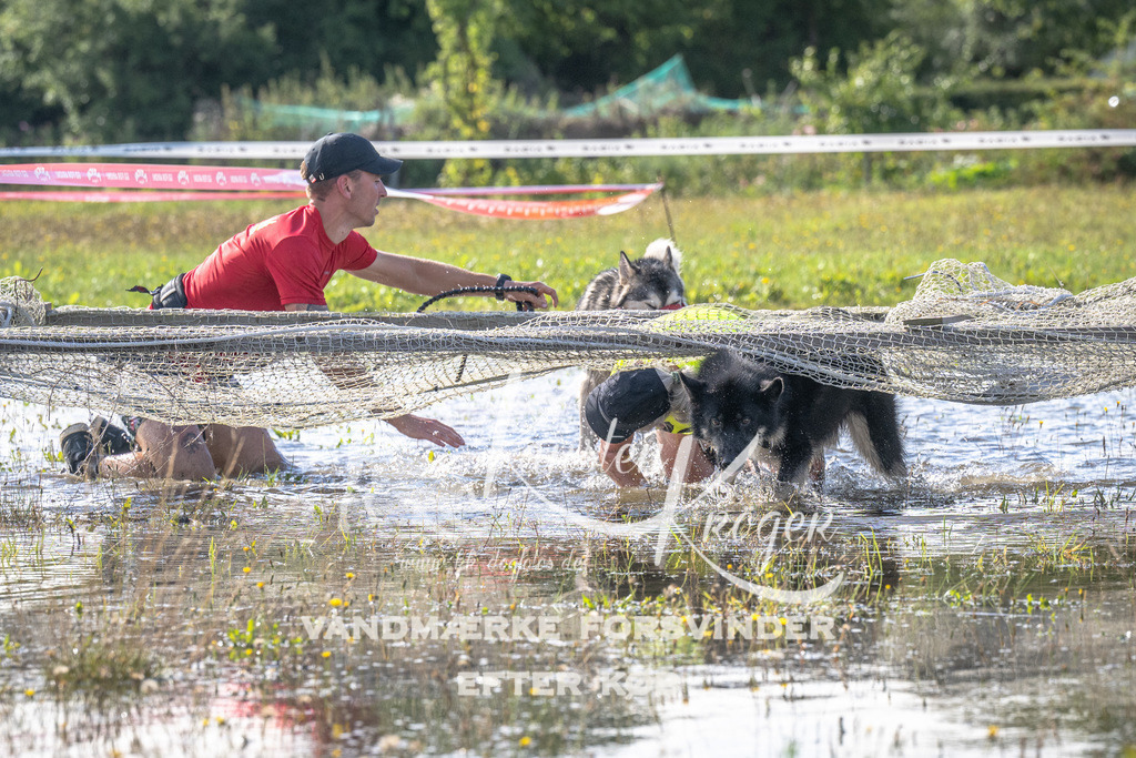 1032_ZZ90527 | kk-dogfotos