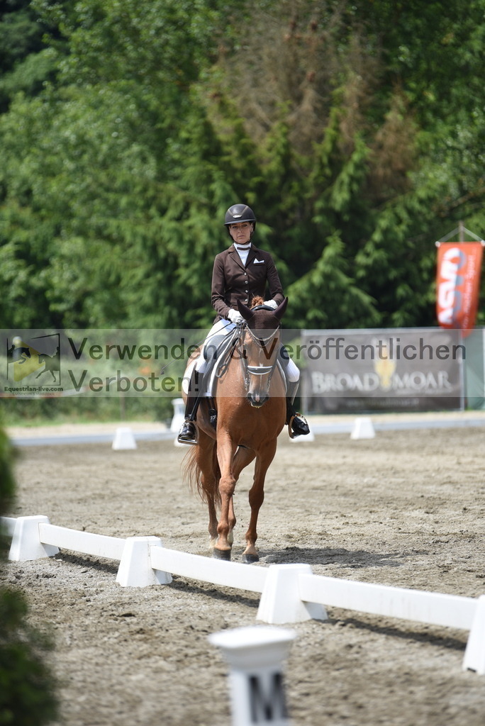DSC_9234 | equestrian-live-com