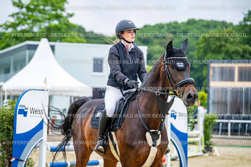 DSC01879 | Pferdegrafie