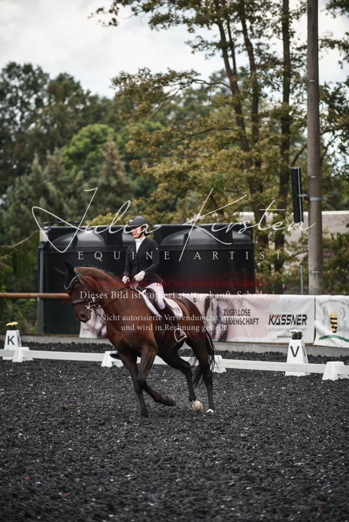 DSC_4834 | Pferde- und Turnierfotografie in Westsachsen. Pferdeportraits, Auftragszeichnungen und intuitive Kunst.