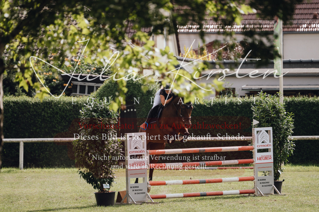 DSC_0963 | Pferde- und Turnierfotografie in Westsachsen. Pferdeportraits, Auftragszeichnungen und intuitive Kunst.
