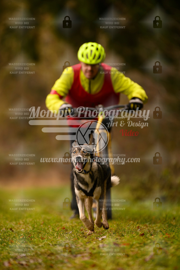 MompixPhotography_2SSTSSBW_2025_SO_Scooter-43 | PayLife