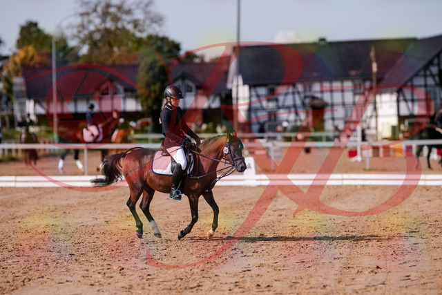 2026_10_03_Siefer-Hof_121019_Z81_12333374 | Professionelle Reitsport-, Turnier- und Eventfotografie von Robert Broda. Galerien mit ausgewählten und bearbeiteten Bildern direkt online ansehen und bestellen.