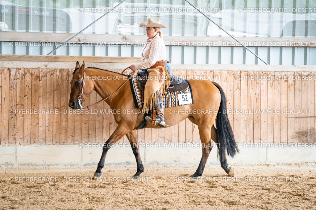 DSC00092 | Pferdegrafie